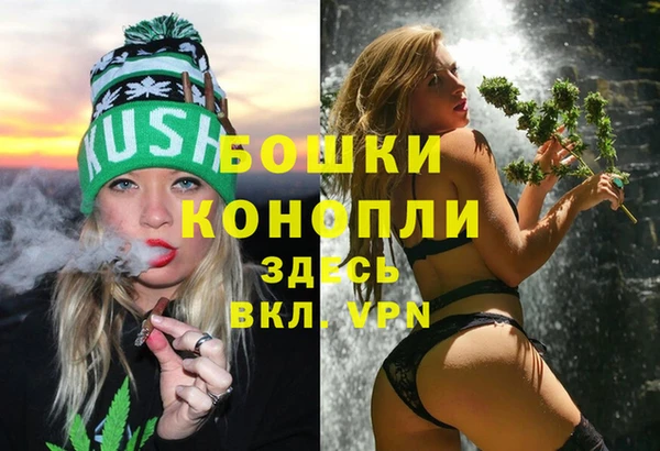 СК Бородино