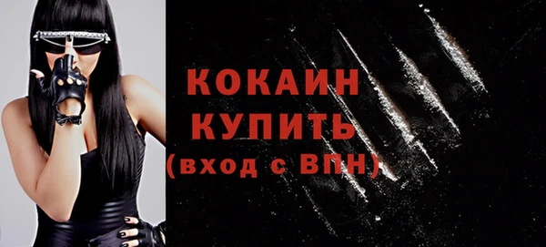 спиды Богородицк