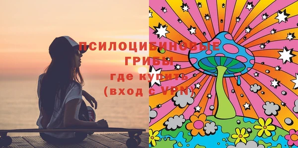 СК Бородино