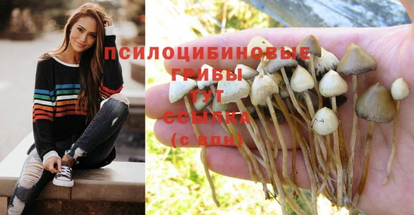 соль курить ск Верея