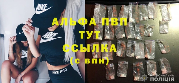 спиды Богородицк