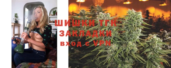 спиды Богородицк