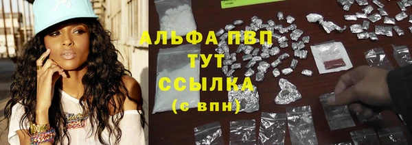 спиды Богородицк