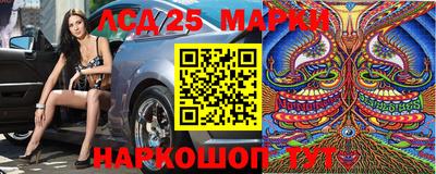 молекула духа Новозыбков