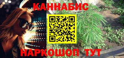 молекула духа Новозыбков