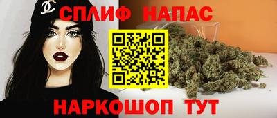 молекула духа Новозыбков