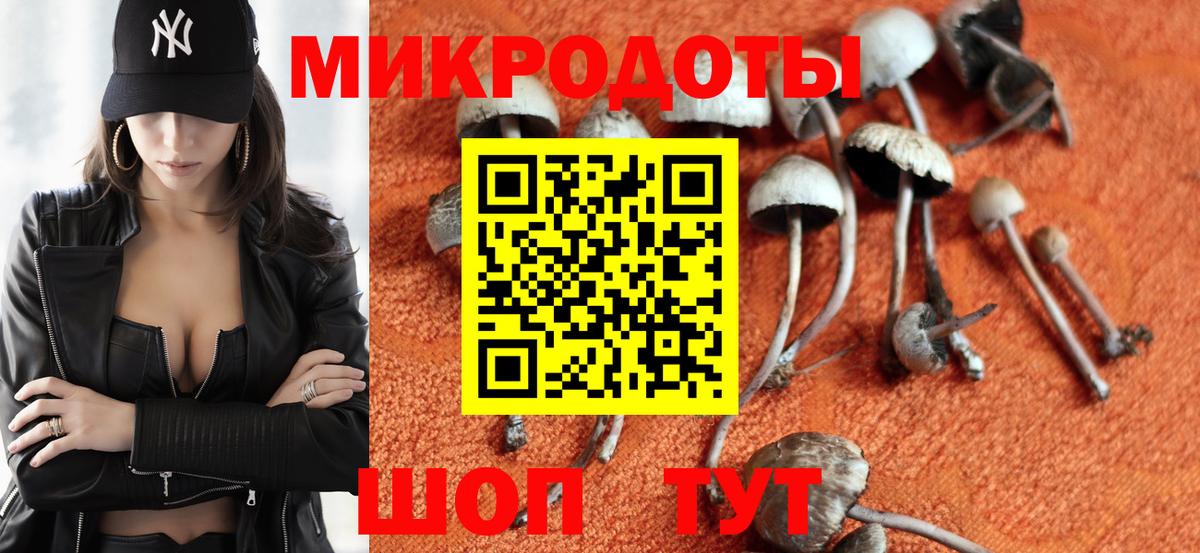 Галлюциногенные грибы прущие грибы Среднеуральск
