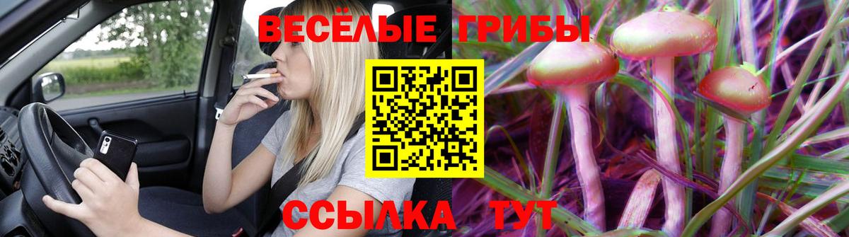 Среднеуральск  Псилоцибиновые грибы Psilocybe  Вход с VPN 